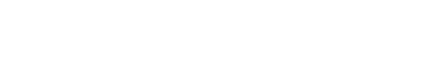 bloominsilver logo